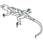 Gecko Coloring Pages - Best Coloring Pages For Kids