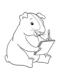 Guinea Pig Coloring Pages - Best Coloring Pages For Kids
