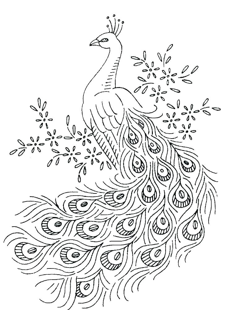 Peacock Standing on Stone coloring page | Free Printable Coloring Pages