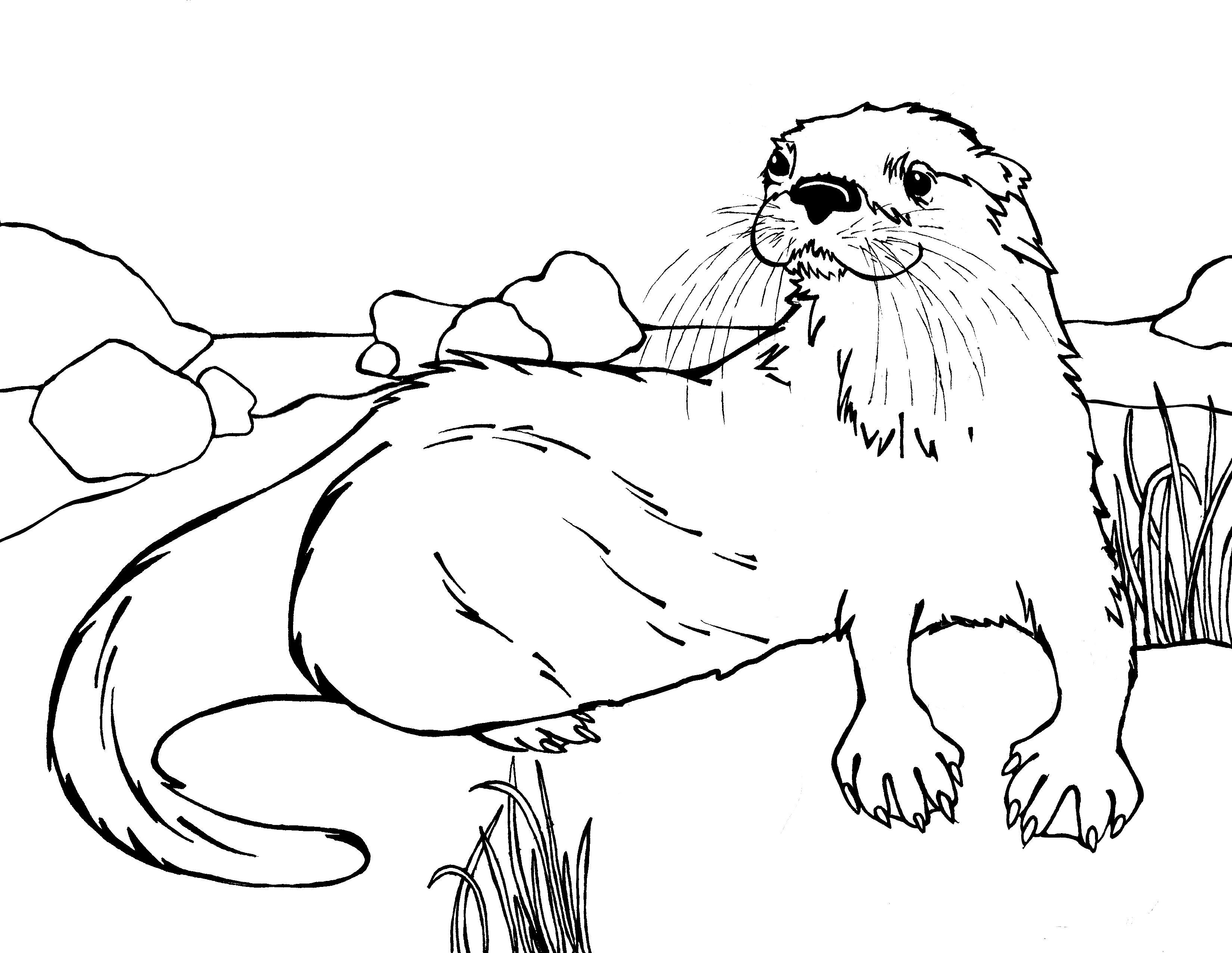 baby otter coloring pages