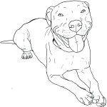 Pitbull Coloring Pages - Best Coloring Pages For Kids