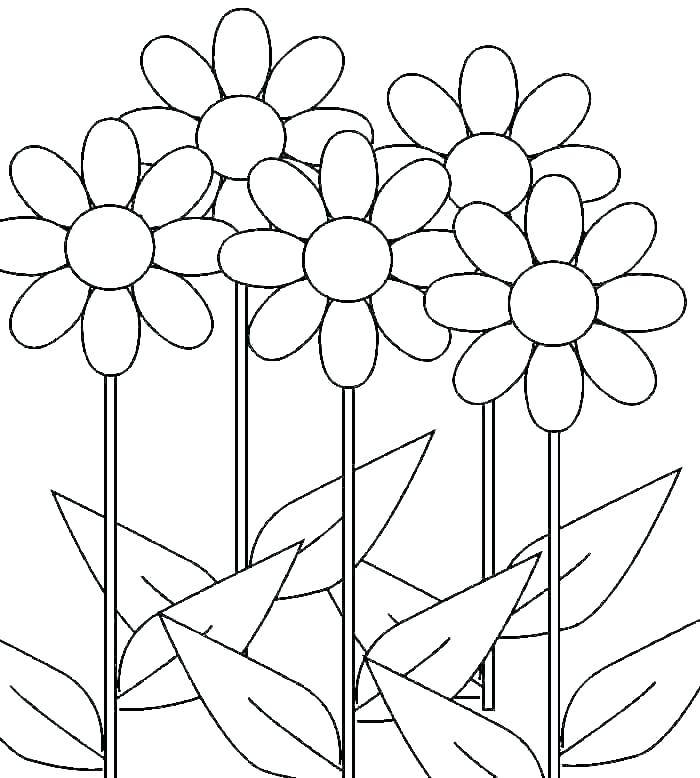 Daisy Flower And Rose Flower Adult Coloring Book Page Design Of