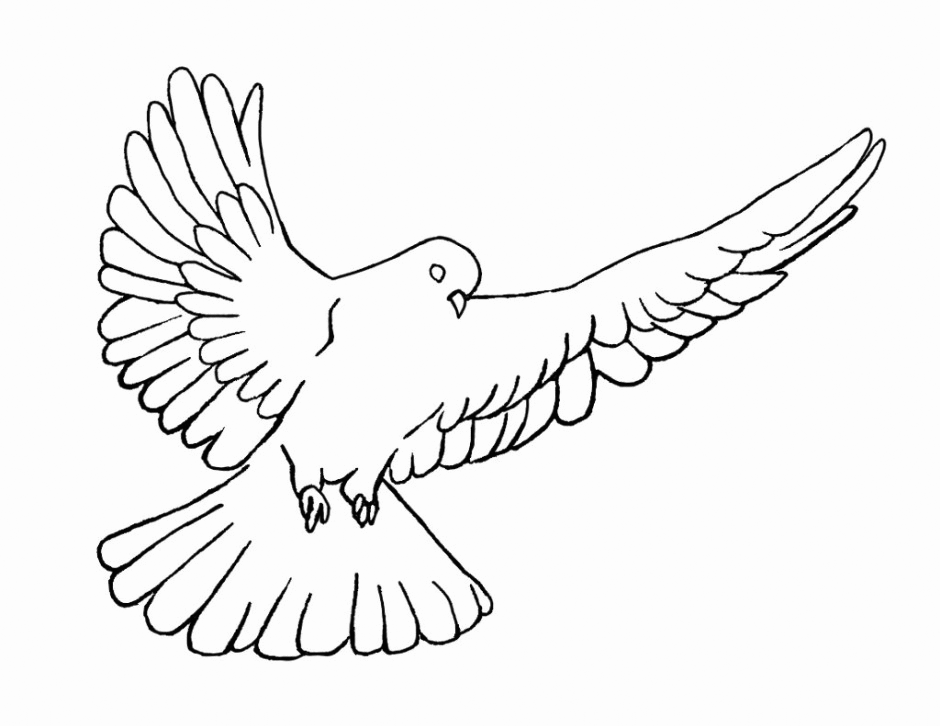 dove flying outline