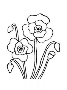 Poppies Coloring Pages - Best Coloring Pages For Kids