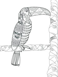Toucan Coloring Pages - Best Coloring Pages For Kids