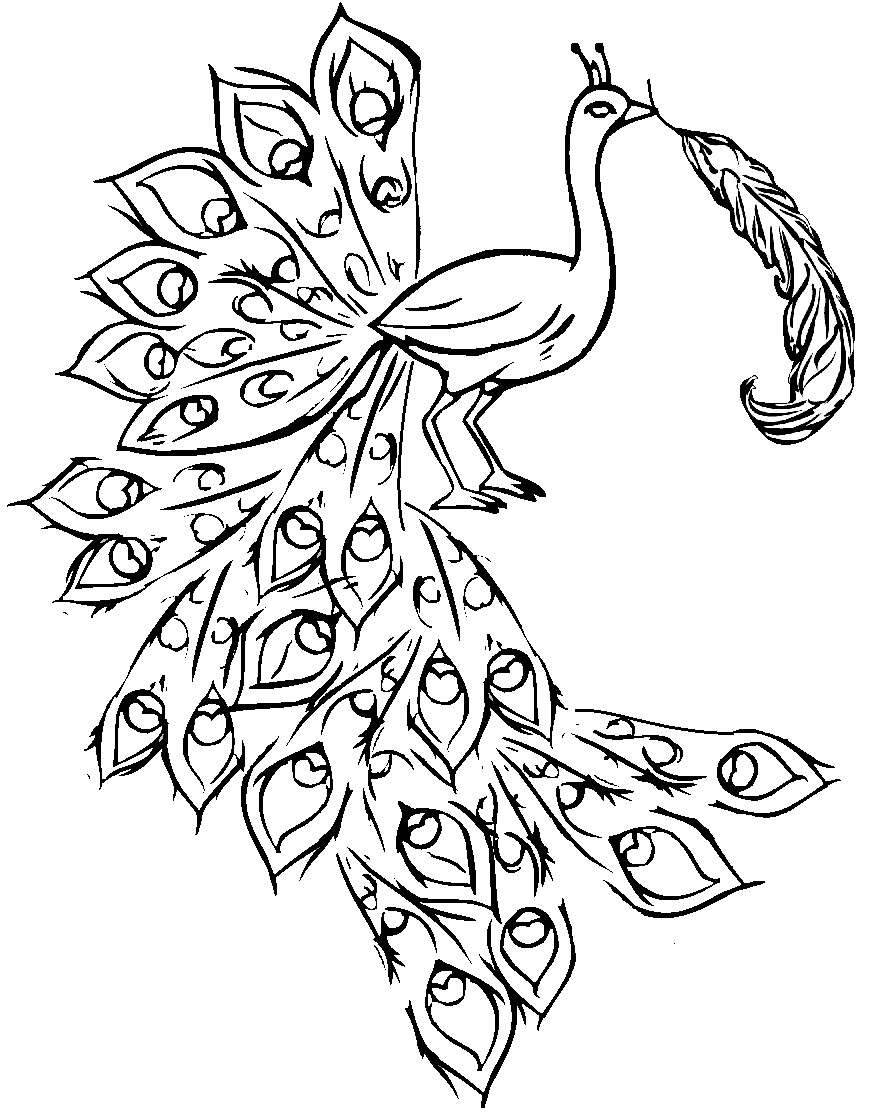 free-printable-peacock-pictures-free-printable-templates