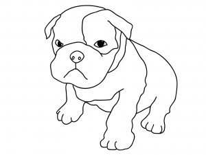 Pitbull Coloring Pages - Best Coloring Pages For Kids