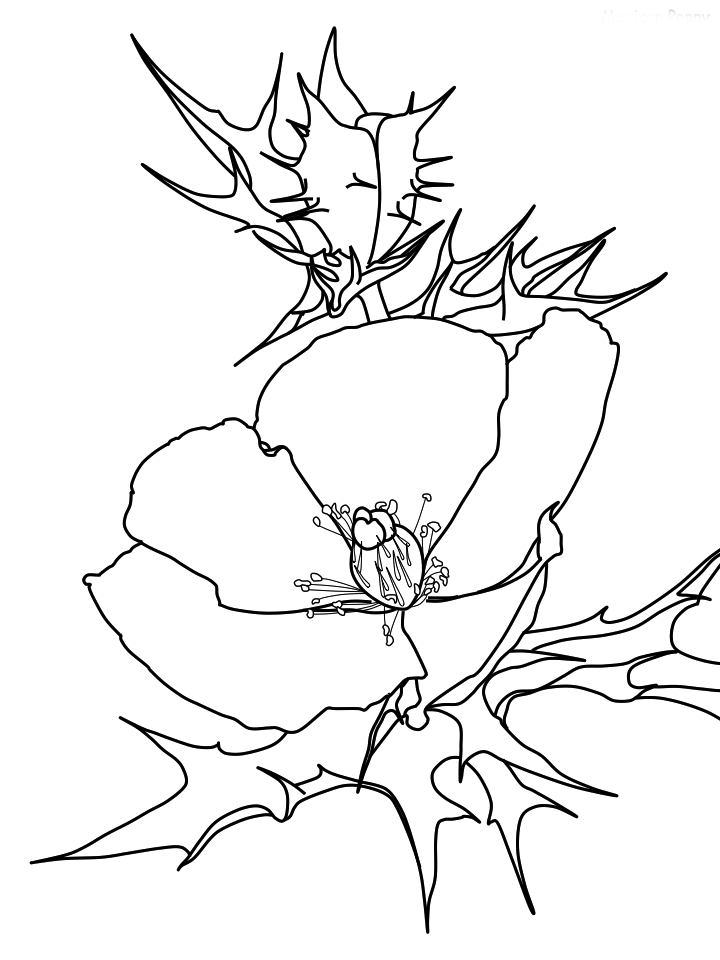 Poppy Coloring Page