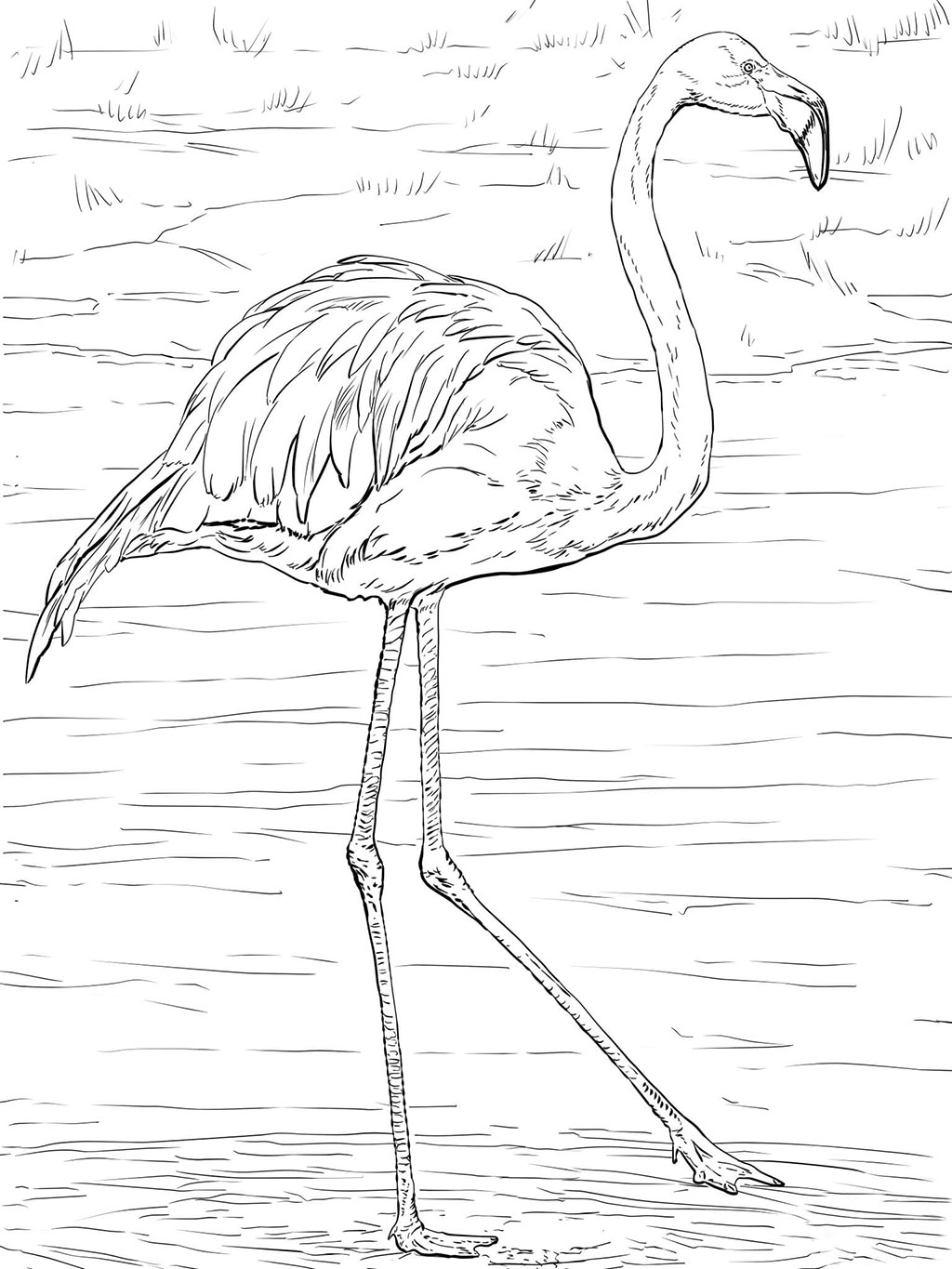 Printable Cute Flamingo Coloring Pages - Printable World Holiday