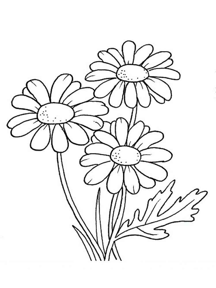 Daisy Bouquet Coloring Page Coloring Pages