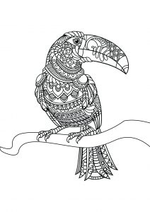 Toucan Coloring Pages - Best Coloring Pages For Kids