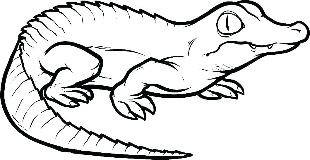 Lizards coloring pages - ClipArt Best