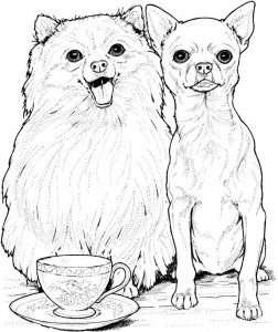 Chihuahua Coloring Pages - Best Coloring Pages For Kids