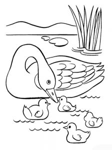 Swan Coloring Pages - Best Coloring Pages For Kids