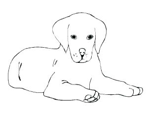 golden retriever coloring pages best coloring pages for kids