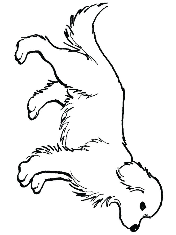 Golden Retriever Coloring Pages - Best Coloring Pages For Kids