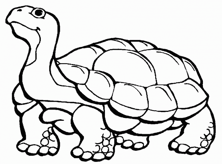 Tortoise Coloring Pages - Best Coloring Pages For Kids