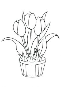 Flower Pot Coloring Pages - Best Coloring Pages For Kids