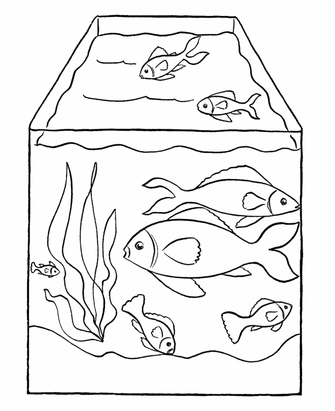 empty aquarium coloring page