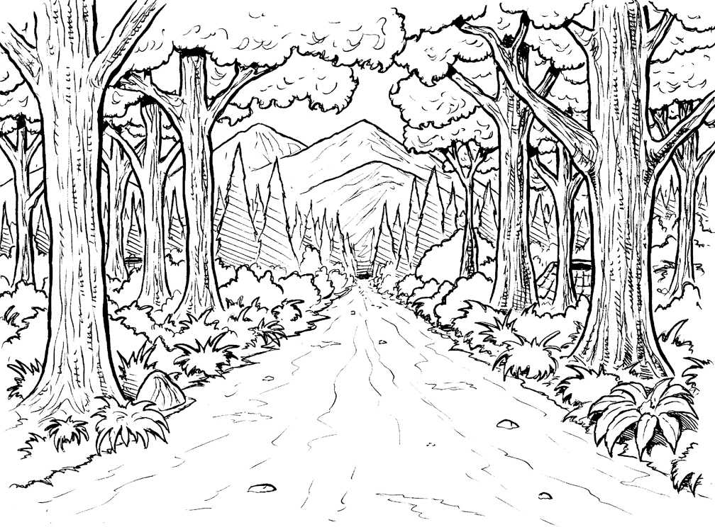 Forest Coloring Pages - Best Coloring Pages For Kids