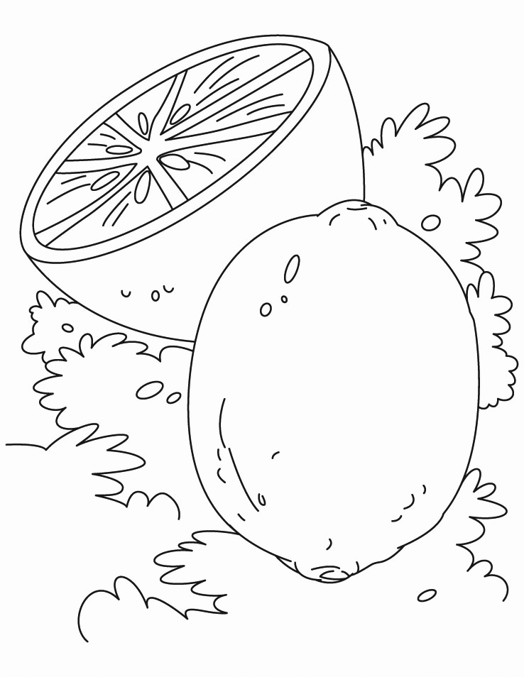 lemon tree coloring page