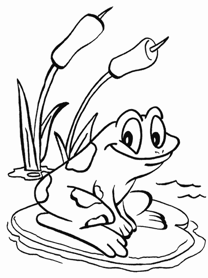 Printable Lily Pad Coloring Pages For Kids