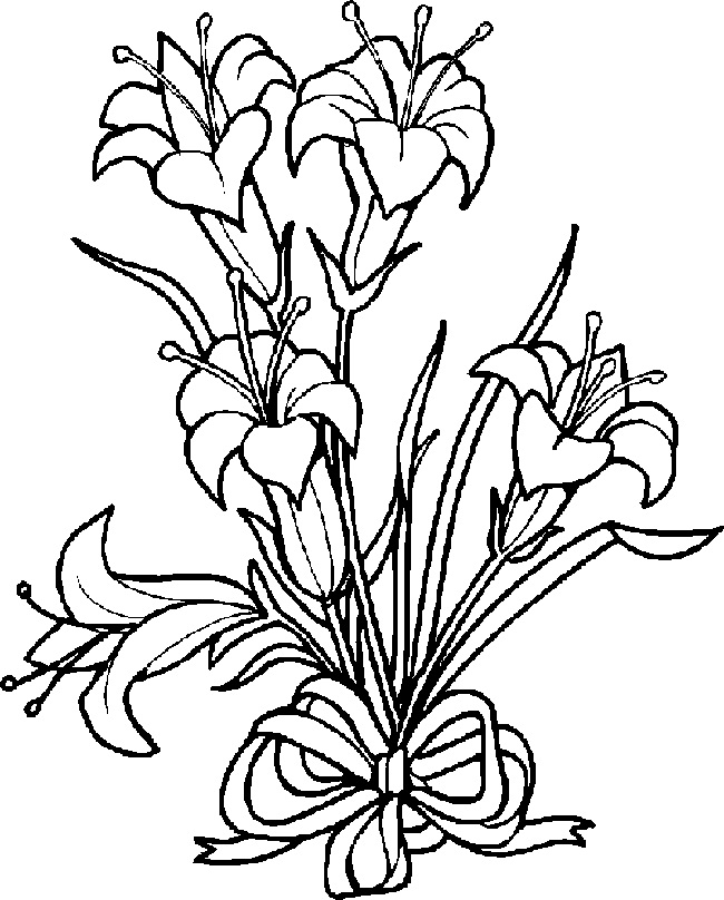 lily coloring pages
