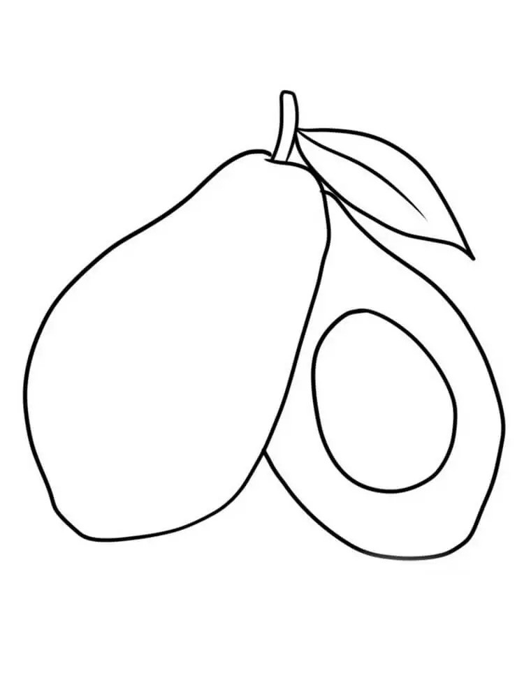 Avocado Coloring Sheet