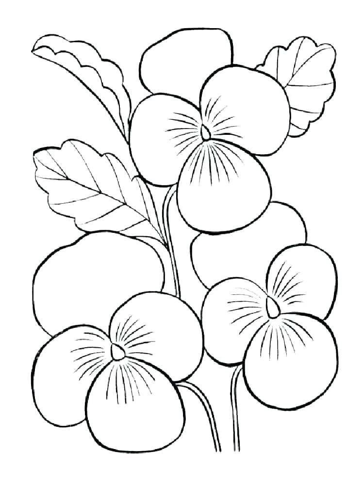 Violet Coloring Pages - Best Coloring Pages For Kids