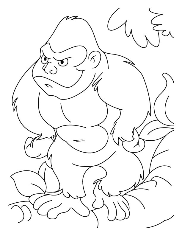 Ape Coloring Page