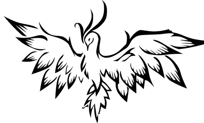 phoenix bird drawings color