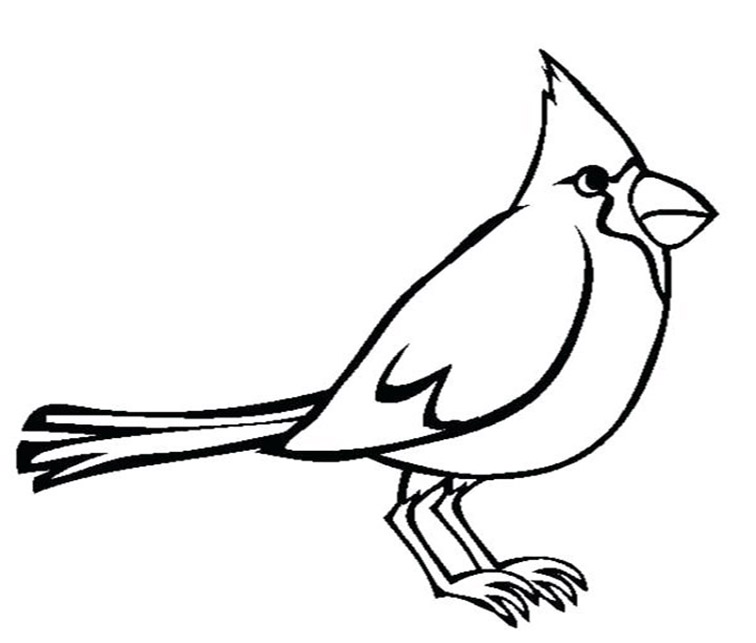 Simple Cardinal Coloring Pages