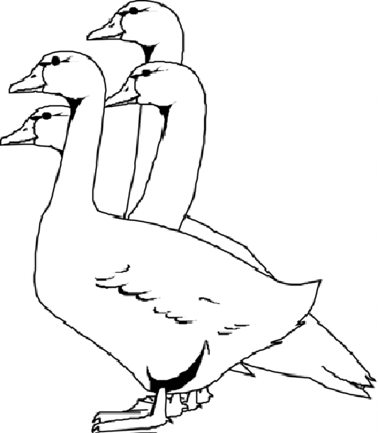 goose coloring pages