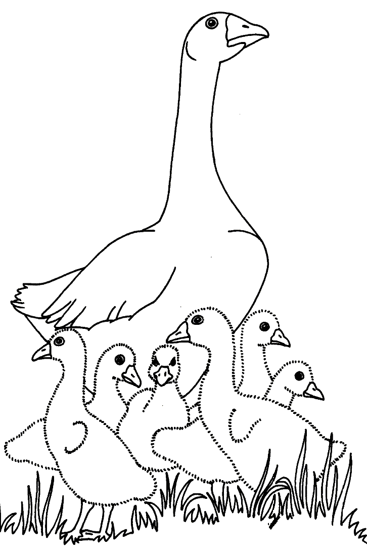 Geese Family Coloring Page