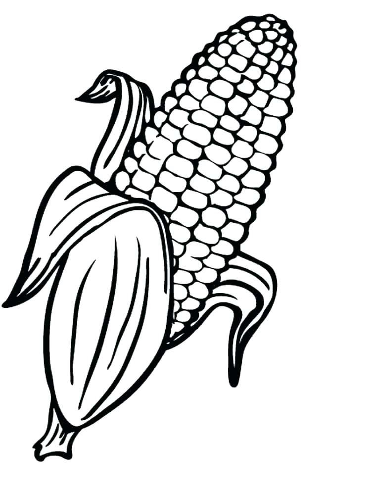 Corn Coloring Pages - Best Coloring Pages For Kids