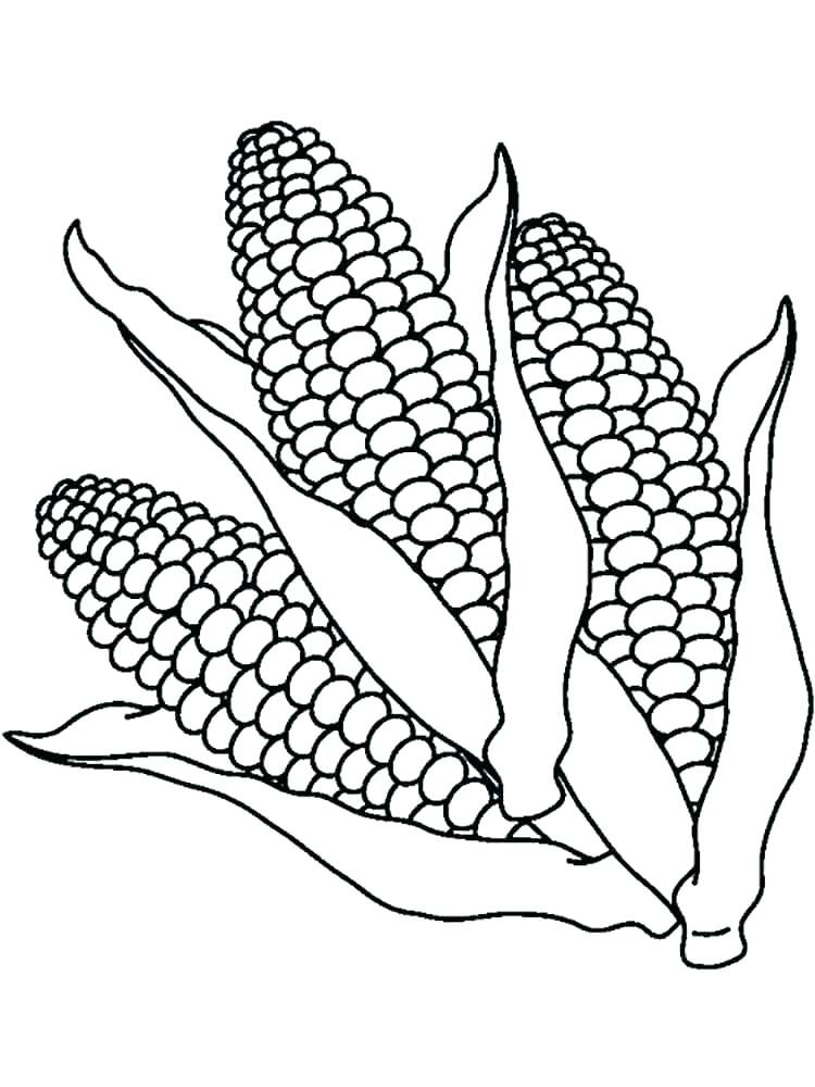 Corn Coloring Pages Best Coloring Pages For Kids