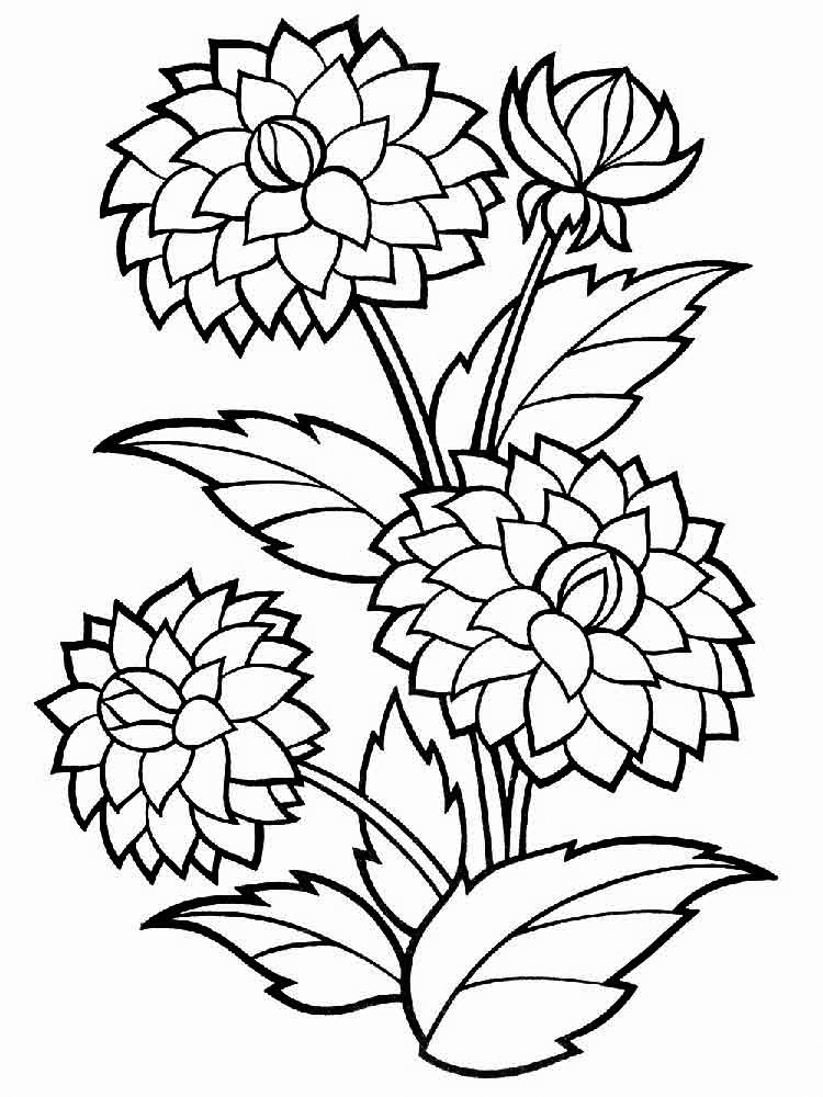 Marigold Coloring Pages Best Coloring Pages For Kids