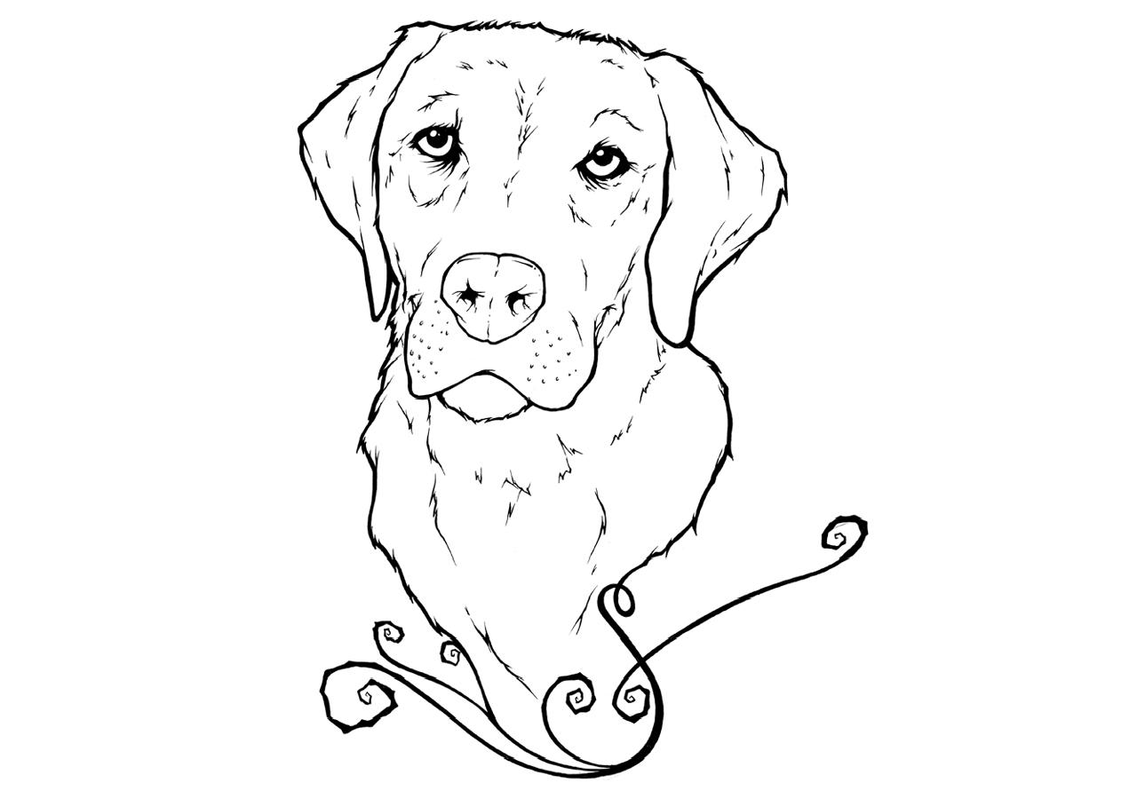 Adult Coloring Pages Labrador Coloring Pages