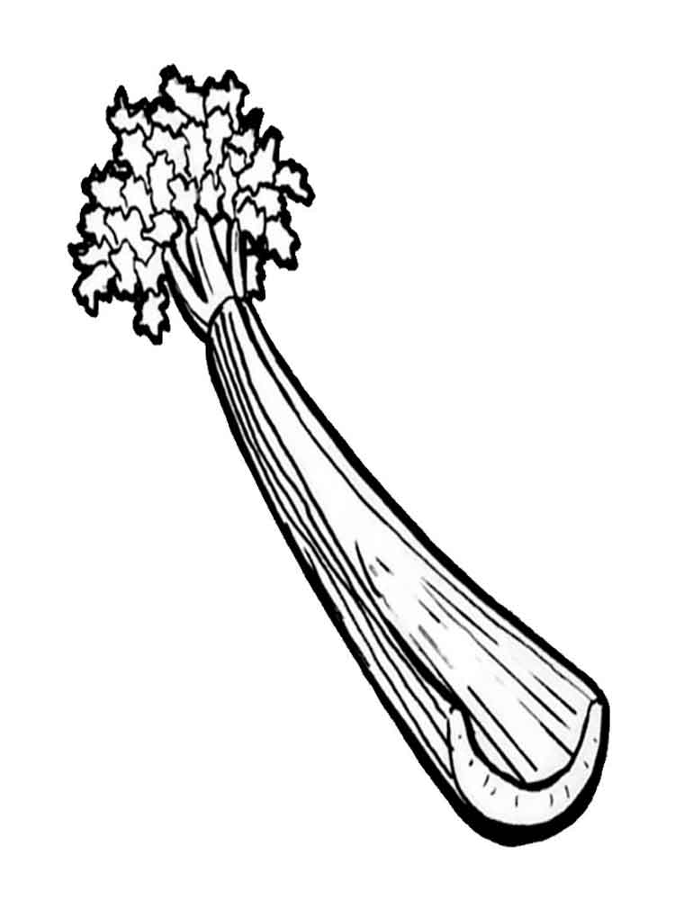 Stalk Of Celery Coloring Page