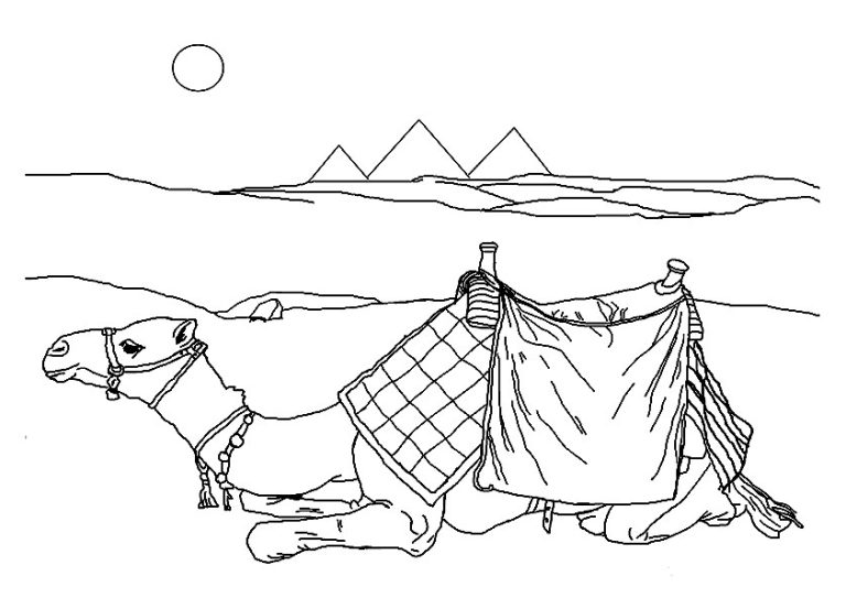 Desert Animals Coloring Pages - Best Coloring Pages For Kids