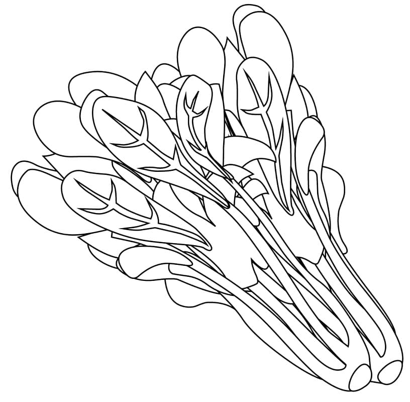 Spinach Coloring Pages - Best Coloring Pages For Kids