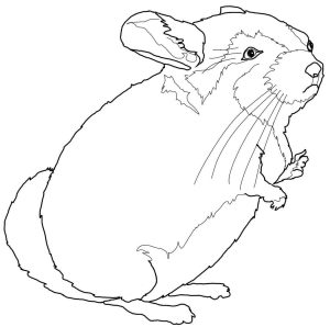 Tundra Coloring Pages - Best Coloring Pages For Kids