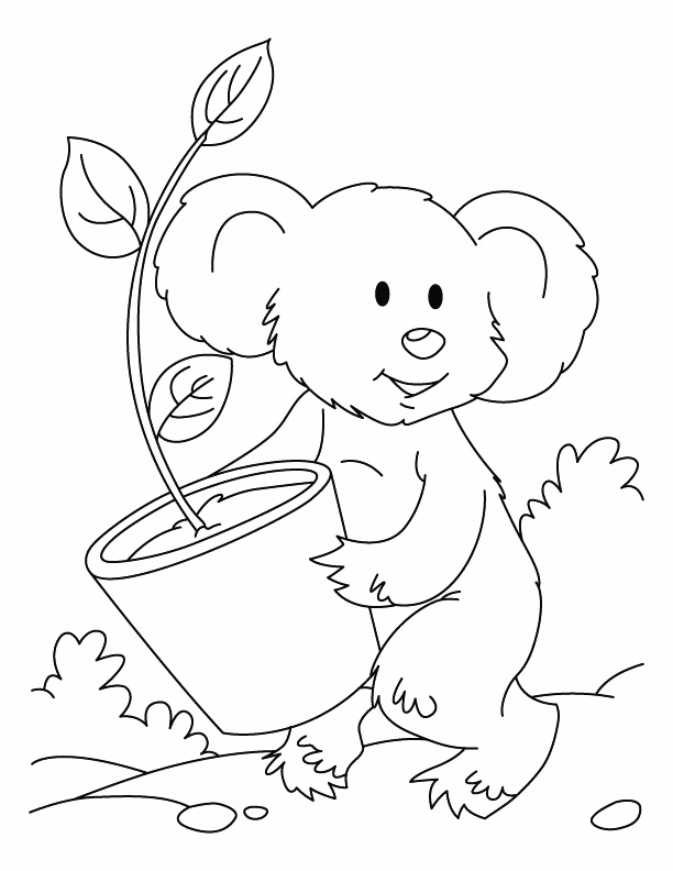 Bear With A Plant Coloring Page