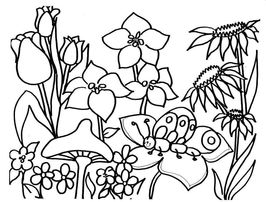 Butterfly On Plants Coloring Page