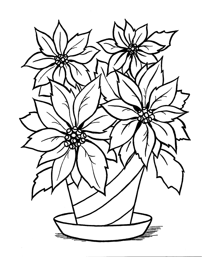 Poinsettia Plant Coloring Page