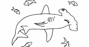 Hammerhead Shark Coloring Pages - Best Coloring Pages For Kids