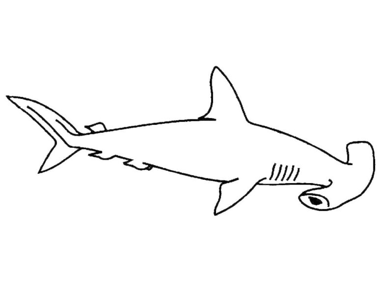 Hammerhead Shark Coloring Pages - Best Coloring Pages For Kids