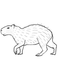 10 Capybara Printable Coloring Pages for Animal Lovers: Unleash Your Creativity!