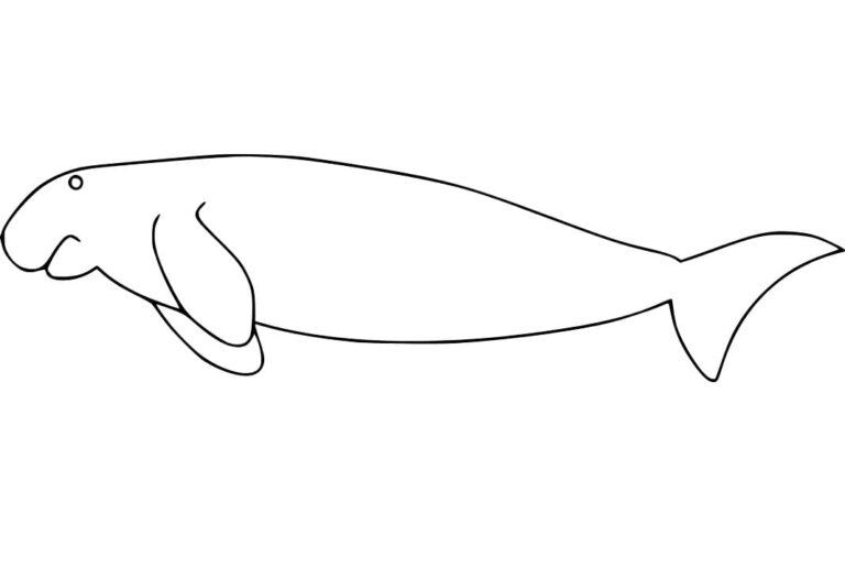 Dugong Coloring Pages - Best Coloring Pages For Kids