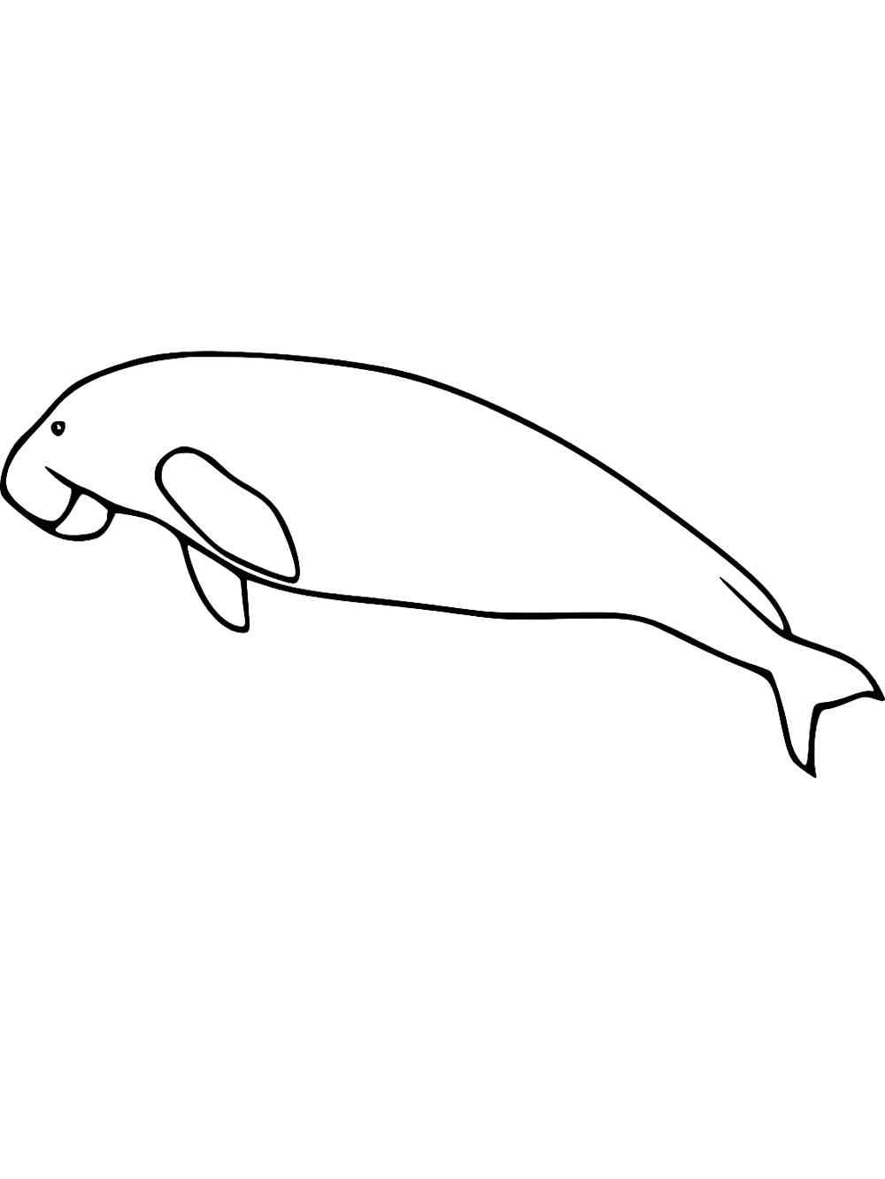 Dugong Coloring Pages - Best Coloring Pages For Kids